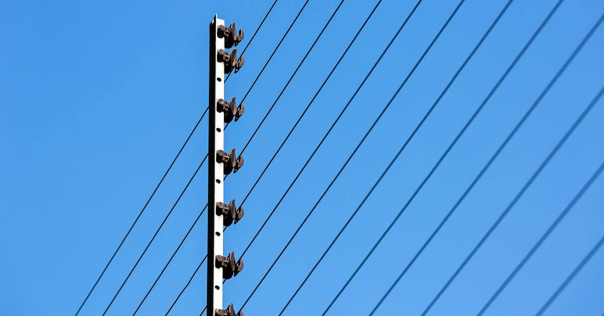 Electrical Security Fencing