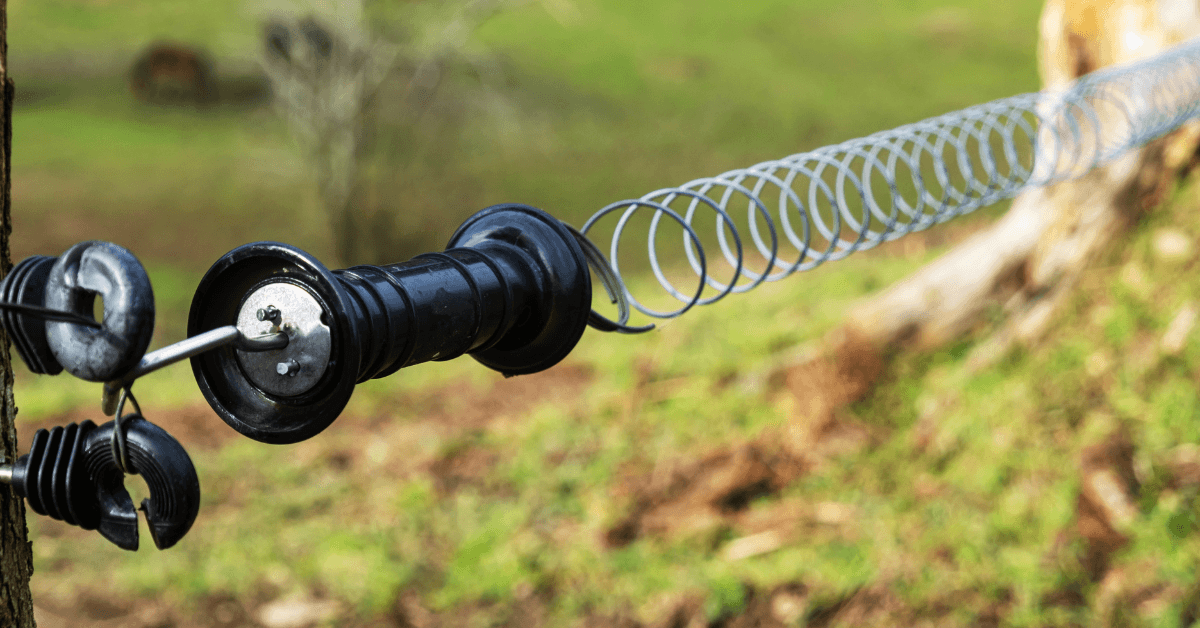 Close-up of a electric fence insulator